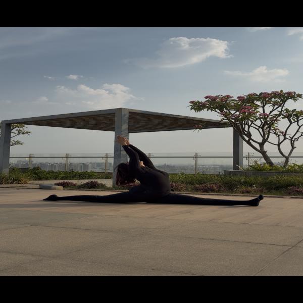 Swasthya Sadhana by Divya
